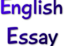 English Essays Logo