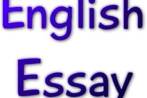 English Essays Logo